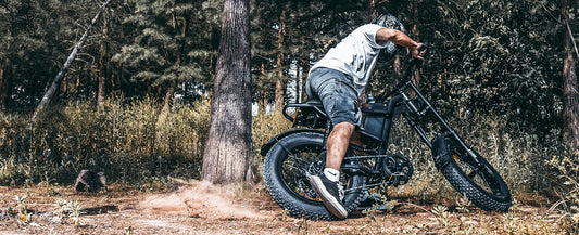 Z8 Pro: The All-Terrain Master of Electric Bikes