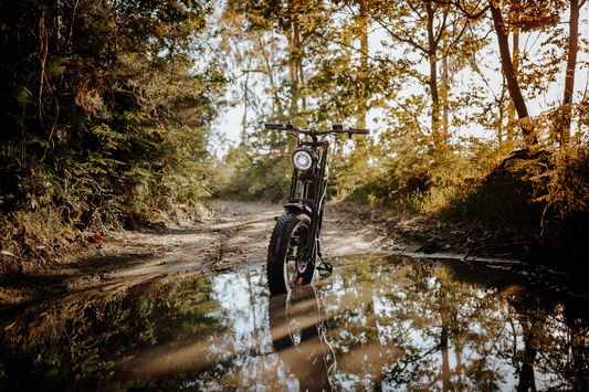 Riding Times Z8 throttle-assist electric bike on off-road trail