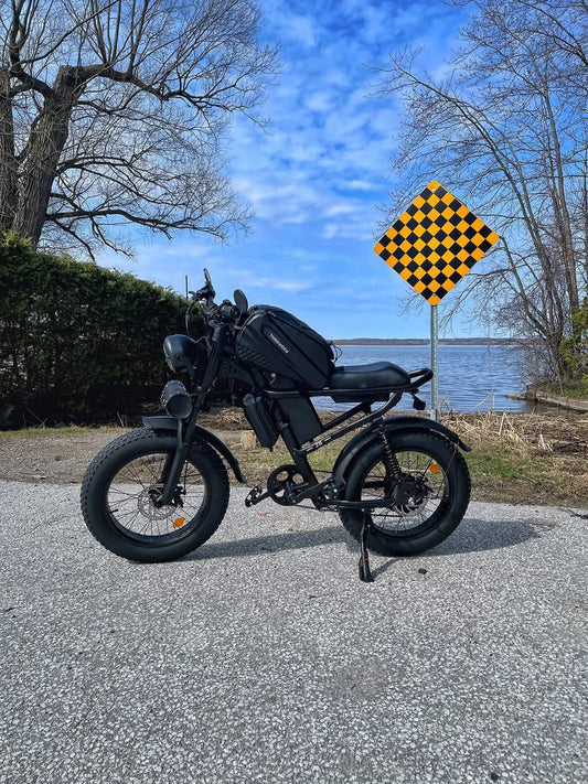 A fat-tire black Riding Times Z8 e-bike parked on a road by a lake, illustrating versatile urban electric mobility bikes.