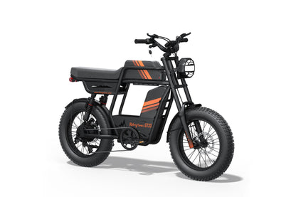 GT33 All-Terrain Cargo Electric Bike - Presale