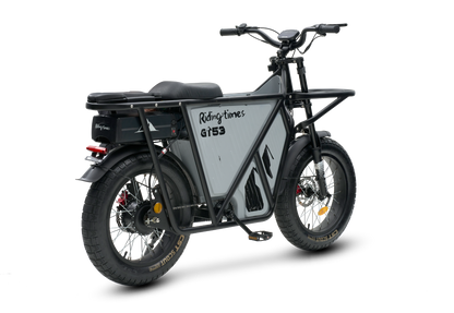 GT53 Cargo eBike with carbon steel frame, high torque motor, and fat tires.