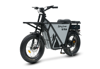 GT53 Cargo eBike with carbon steel frame and puncture-resistant tires.