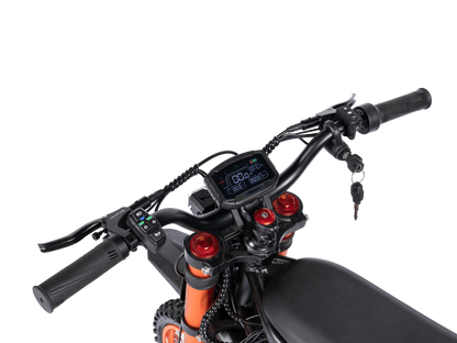 GT54 Electric Mini Motorbike for Kids & Adults -Presale