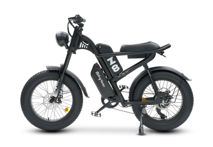 Fat Tire Moped Style Electric Bike