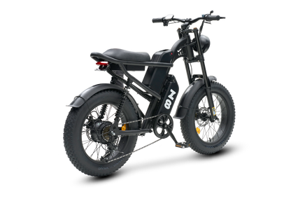 All Terrain Electric Bike For Mountains, Snow, Sand and Road