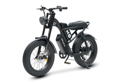 750W Fat Tire Moped Style Electric Bike