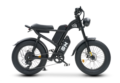 All Terrain Fat Tire Electric Bike