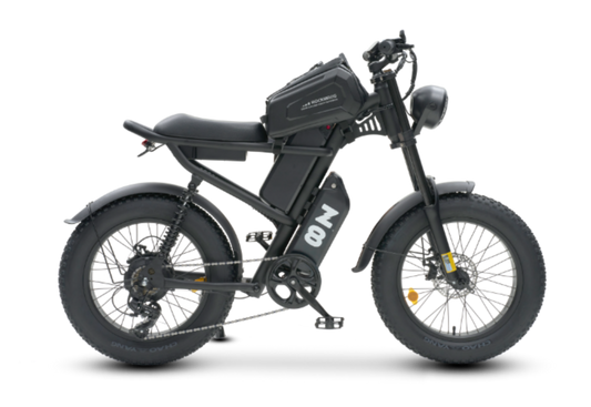 20 Inch Fat Tire Electric Bike