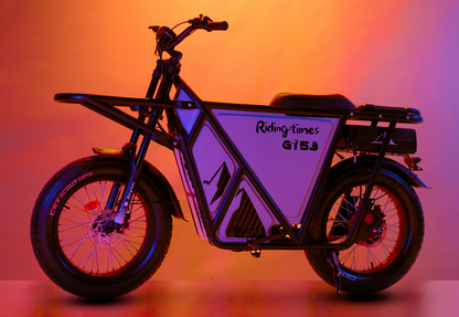 GT53 Cargo eBike with carbon steel frame, high torque motor, 20" puncture-resistant tires, and LED display.