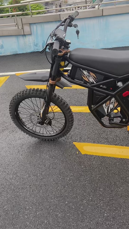GT73 /PRO Electric Motorbike